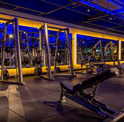 Equipamentos de musculação